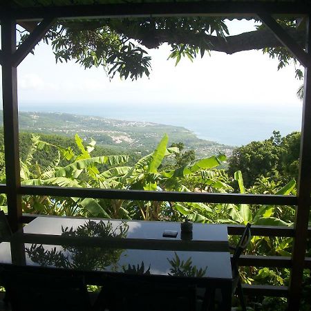 Mango Tree Lodge Bouillante Exterior foto